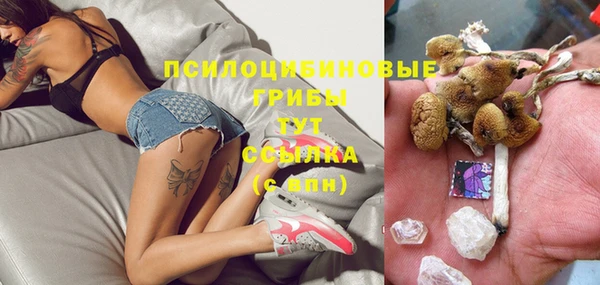 MDMA Бородино